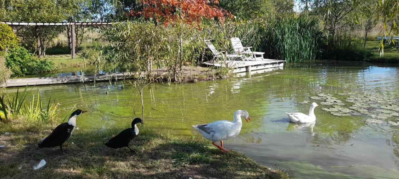 El Tramway Casa Antigua De Campo Bed and Breakfast San Antonio de Areco Εξωτερικό φωτογραφία