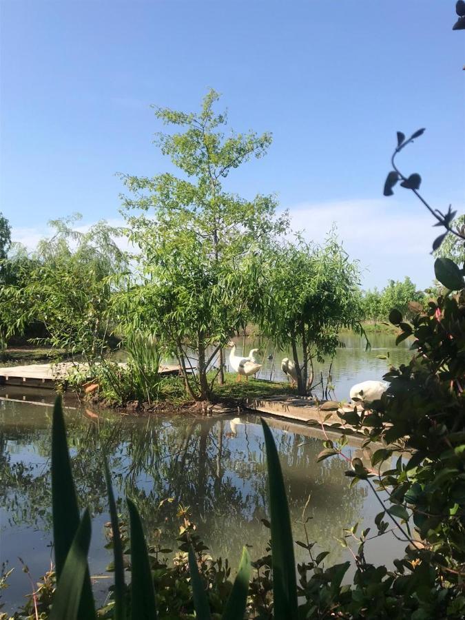 El Tramway Casa Antigua De Campo Bed and Breakfast San Antonio de Areco Εξωτερικό φωτογραφία