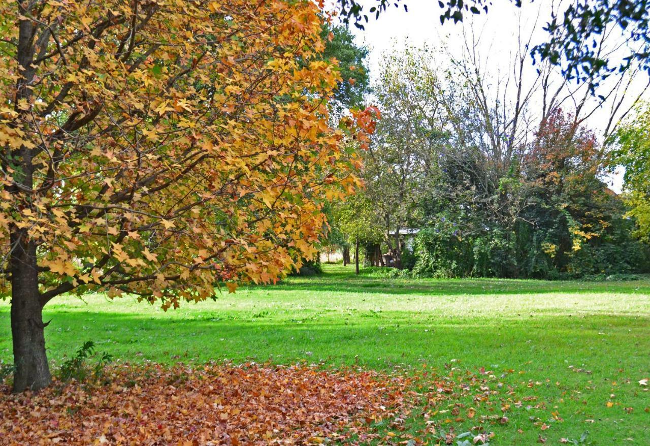 El Tramway Casa Antigua De Campo Bed and Breakfast San Antonio de Areco Εξωτερικό φωτογραφία